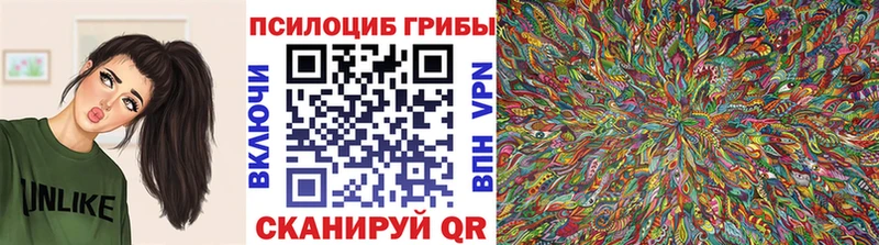 Галлюциногенные грибы Psilocybe  даркнет сайт  Луза 