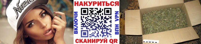 Бошки Шишки конопля Луза